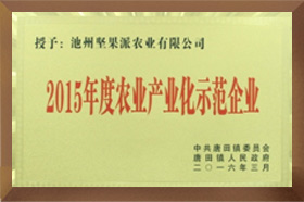 2015年度农业产业化示范黄色向日葵视频官方网站下载安装