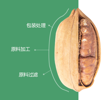 碧根果向日葵污视频污黄色成人初加工