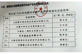 2020年合肥市农业产业化市级龙头黄色向日葵视频官方网站下载安装